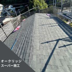 オークリッジスーパー設置