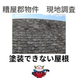 糟屋郡物件、ツタやコケが付着している外壁と、塗装できない屋根の調査報告　福岡市と糟屋郡の屋根工事・雨漏り専門店の現場ブログ