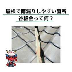 屋根で雨漏りしやすい箇所ってどこ？　台風の後は谷板金に注意が必要！？　福岡市と糟屋郡の屋根工事・雨漏り専門店