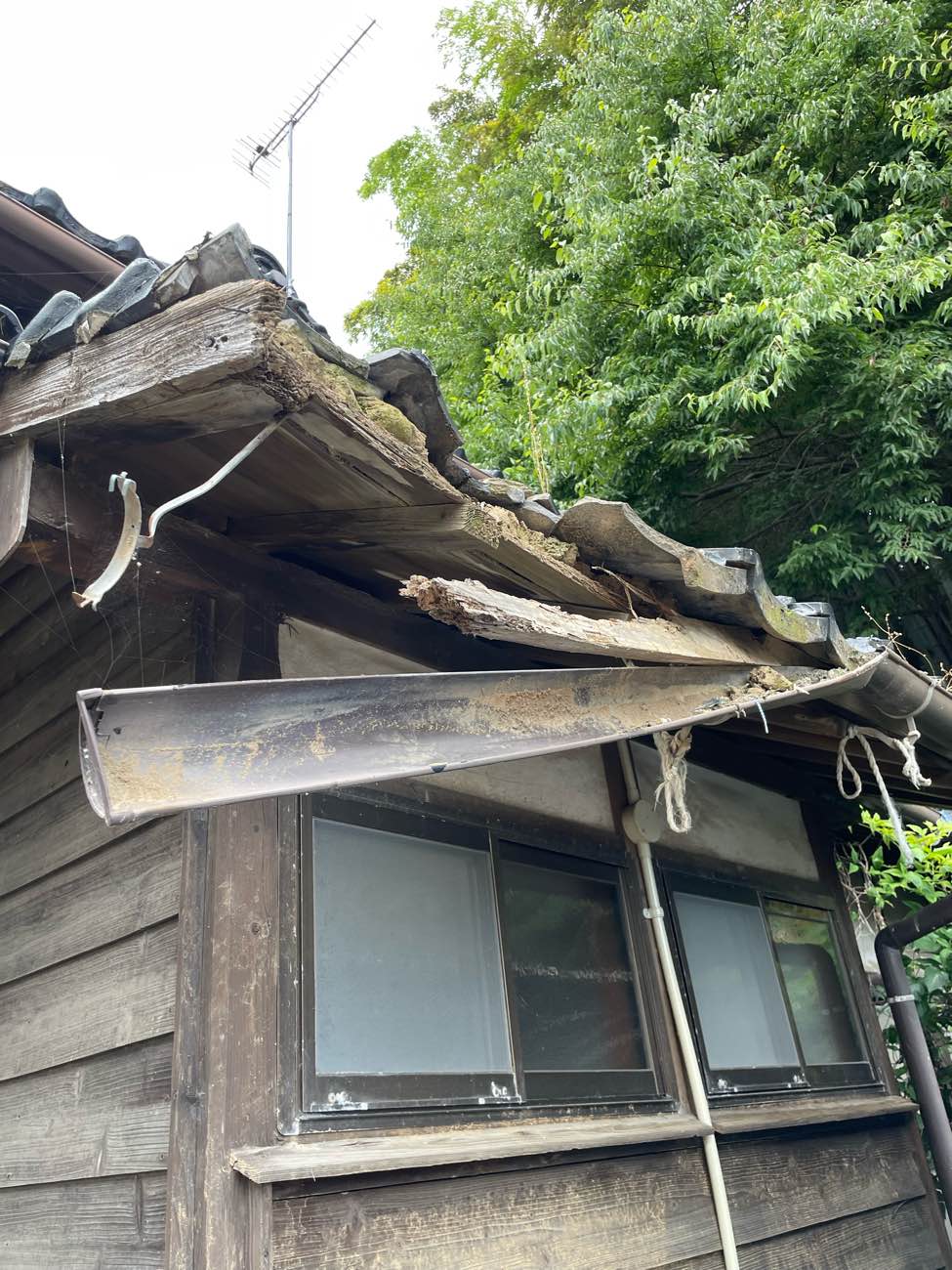 福岡県遠賀郡、崩れた瓦と屋根に生えた草、屋根工事、住みたかルーフ