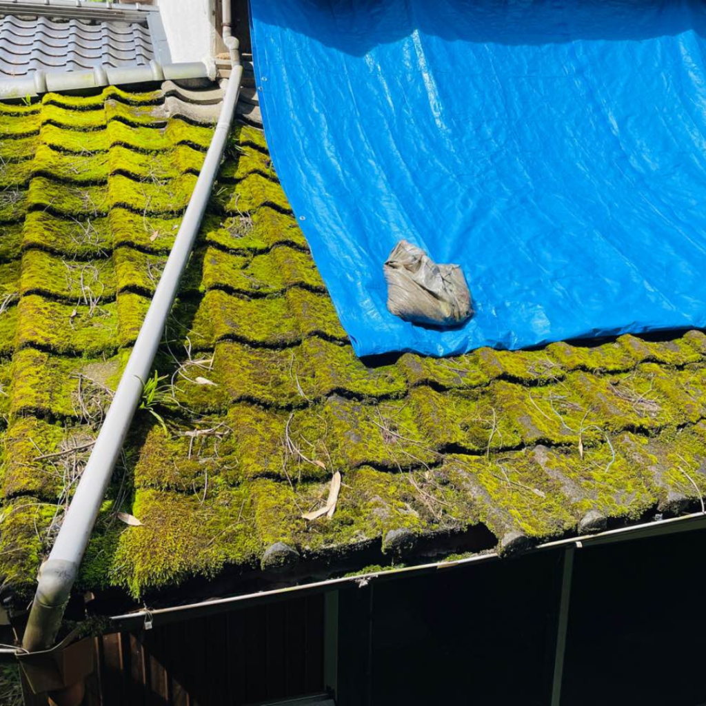 雨漏り処置