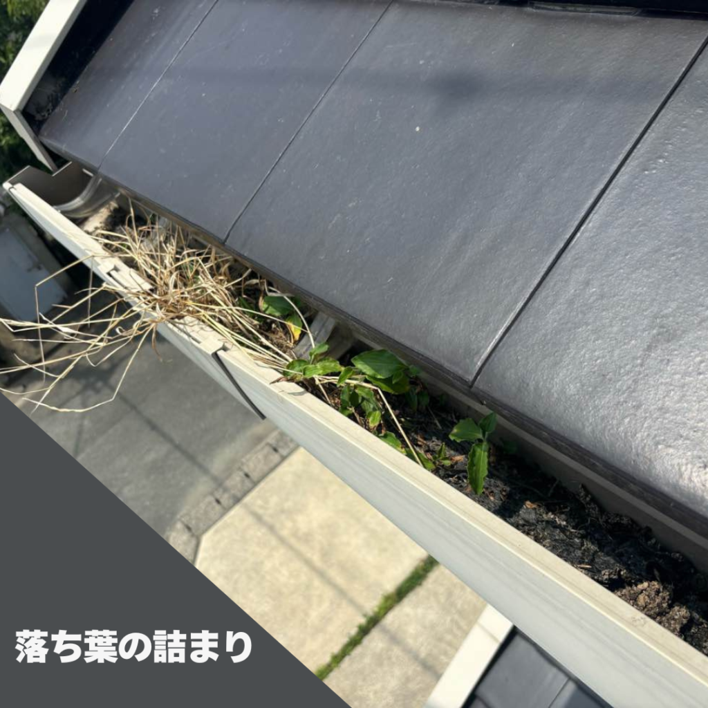 雨樋落ち葉の詰まり