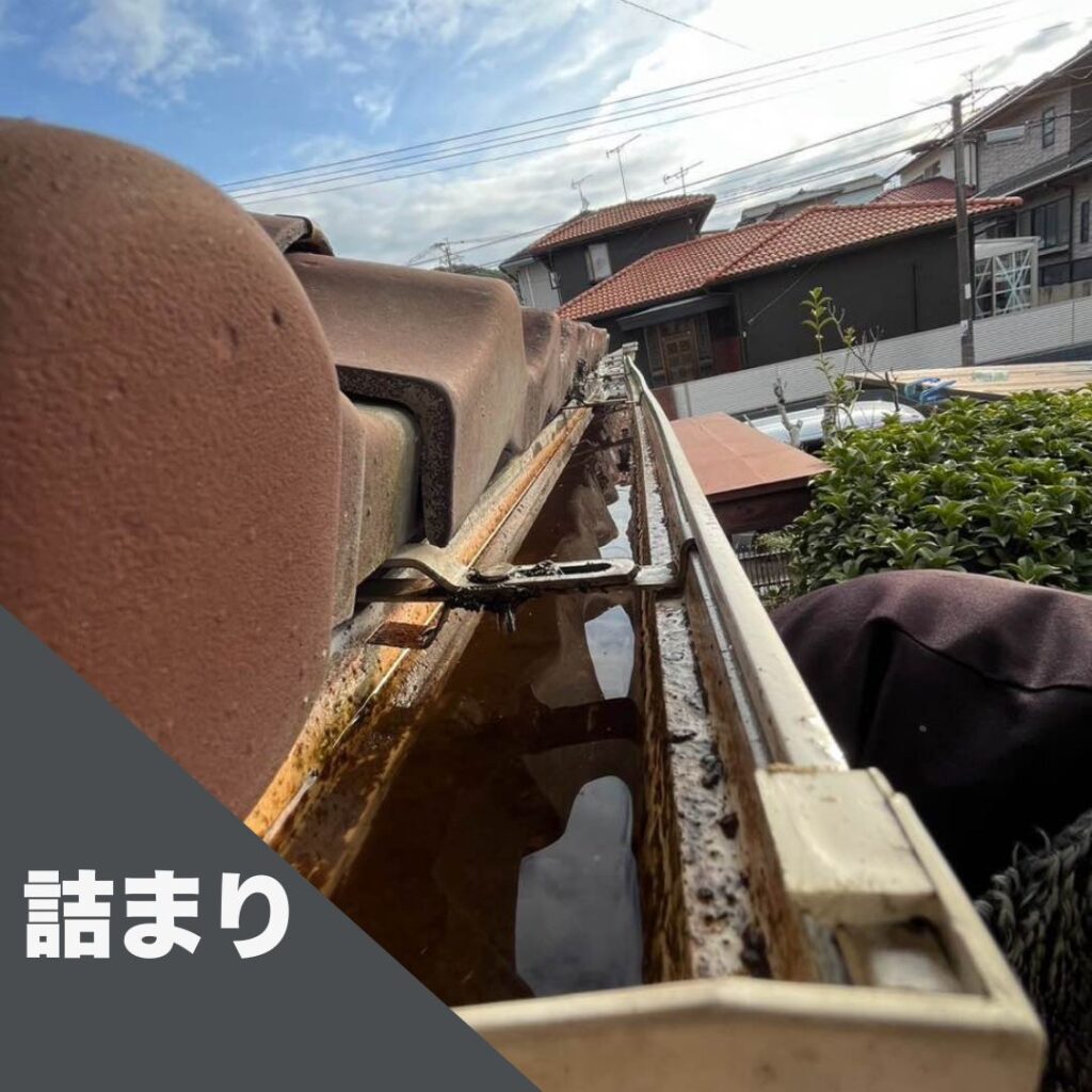 雨樋の詰まり