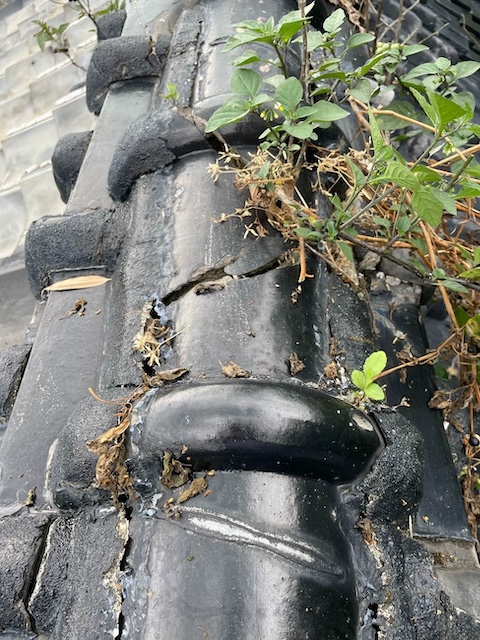 棟瓦　劣化　
