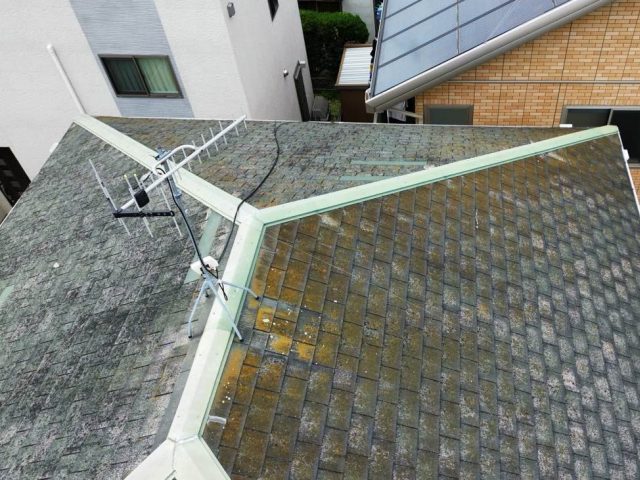 コロニアル屋根　苔