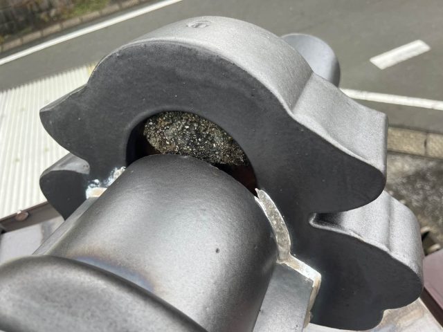 漆喰　苔の発生