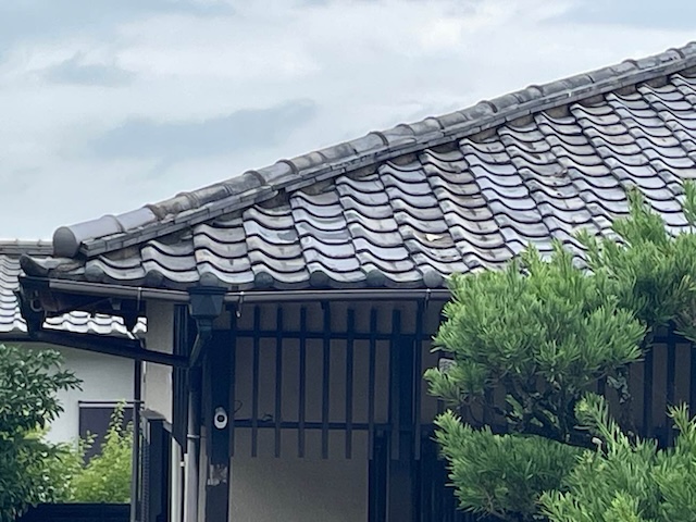 瓦屋根　雨漏り調査