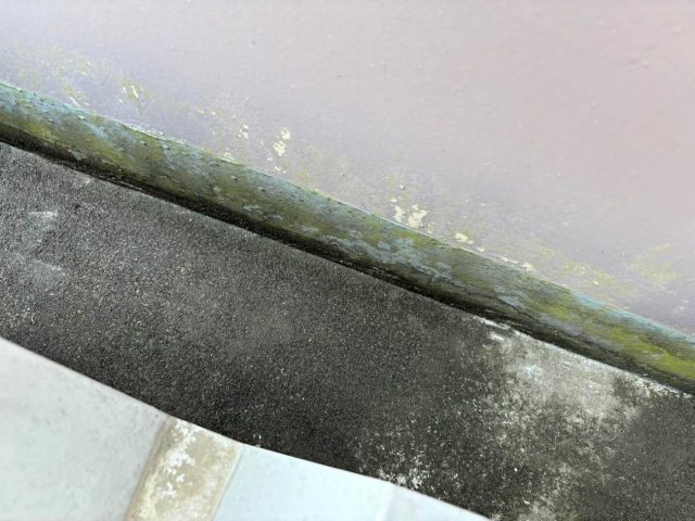 内樋　苔
