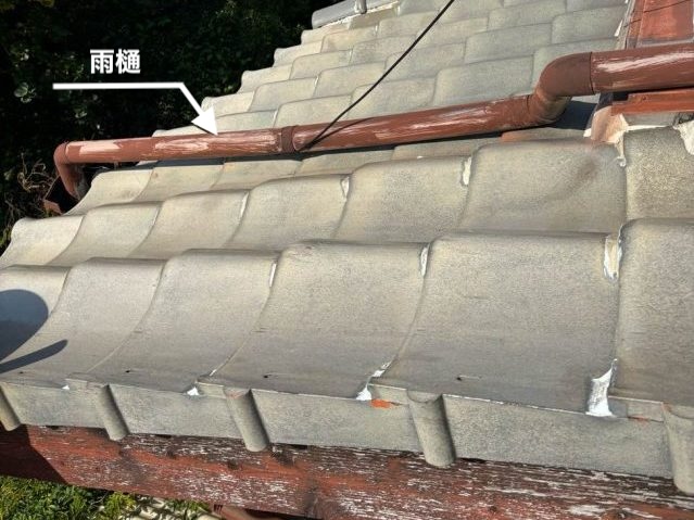 雨樋　劣化
