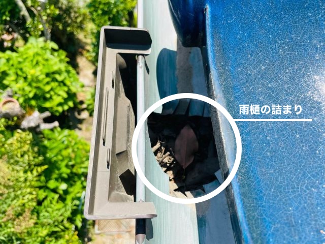 無料屋根調査　雨樋の詰まり