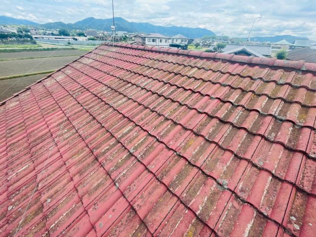 モニエル瓦　劣化