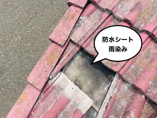 防水シート　劣化　雨染み