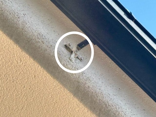 雨樋　ビスの浮き