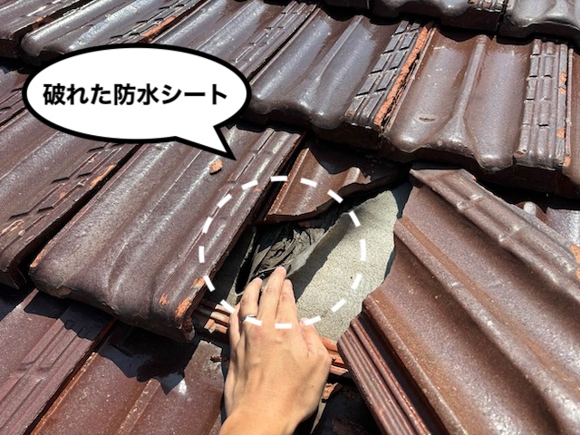 雨漏り　防水シート　劣化
