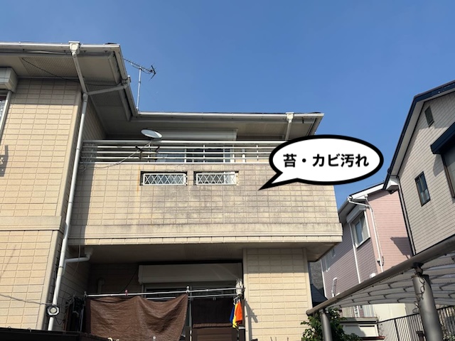 外壁　苔・カビ汚れ