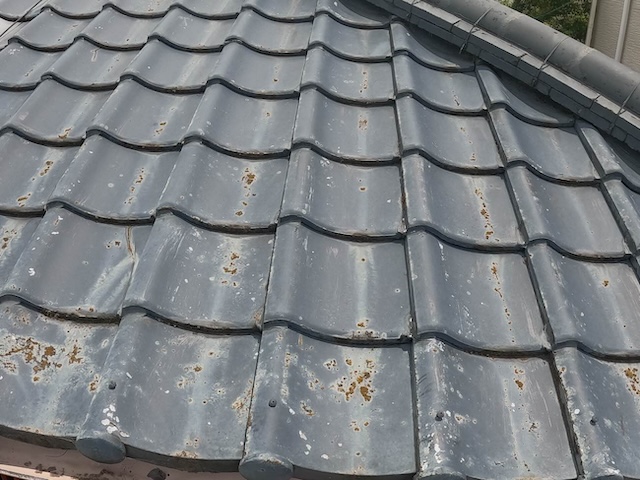 瓦　劣化　現地調査