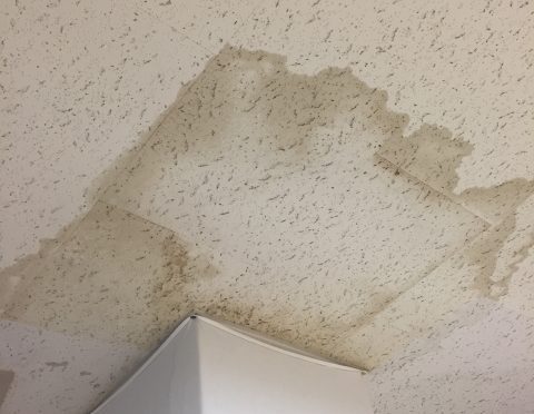 糟屋郡須恵町　雨漏り　天井　雨染み