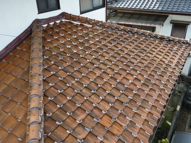 陶器瓦 苔 カビ
