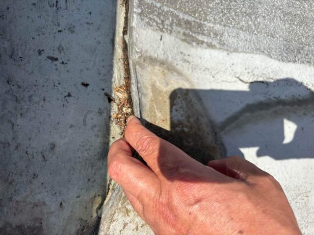 陸屋根 シート防水 剥がれ