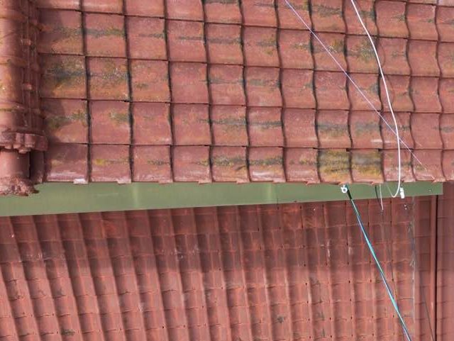 セメント瓦 苔付着