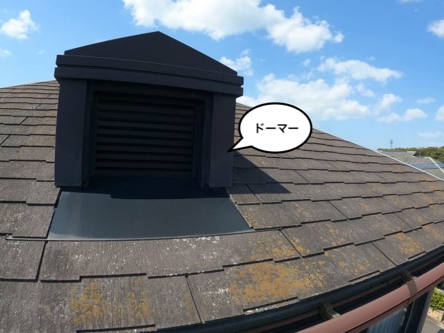 屋根調査　ドーマー　