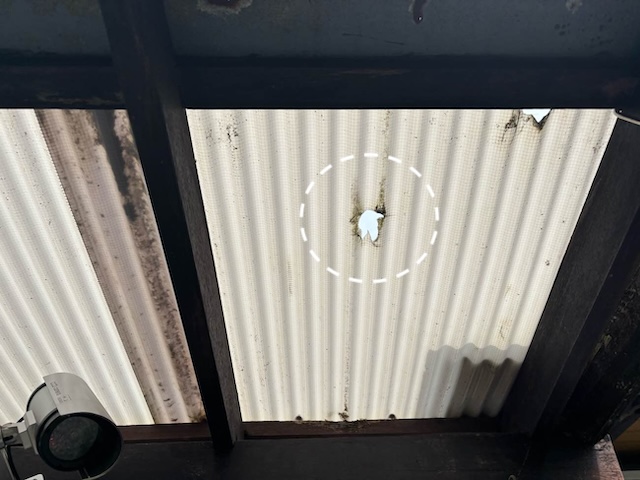 テラス屋根　波板　穴あき