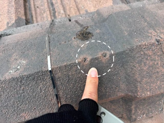 福岡市博多区 雨漏り調査 住みたかルーフ