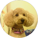 みーはん profile picture