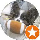 おの ゆき profile picture