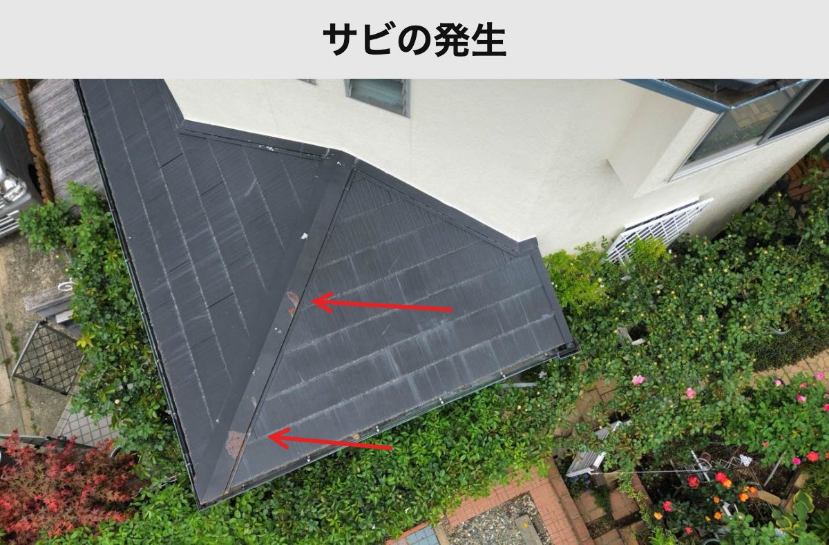 棟付近に見られたサビ