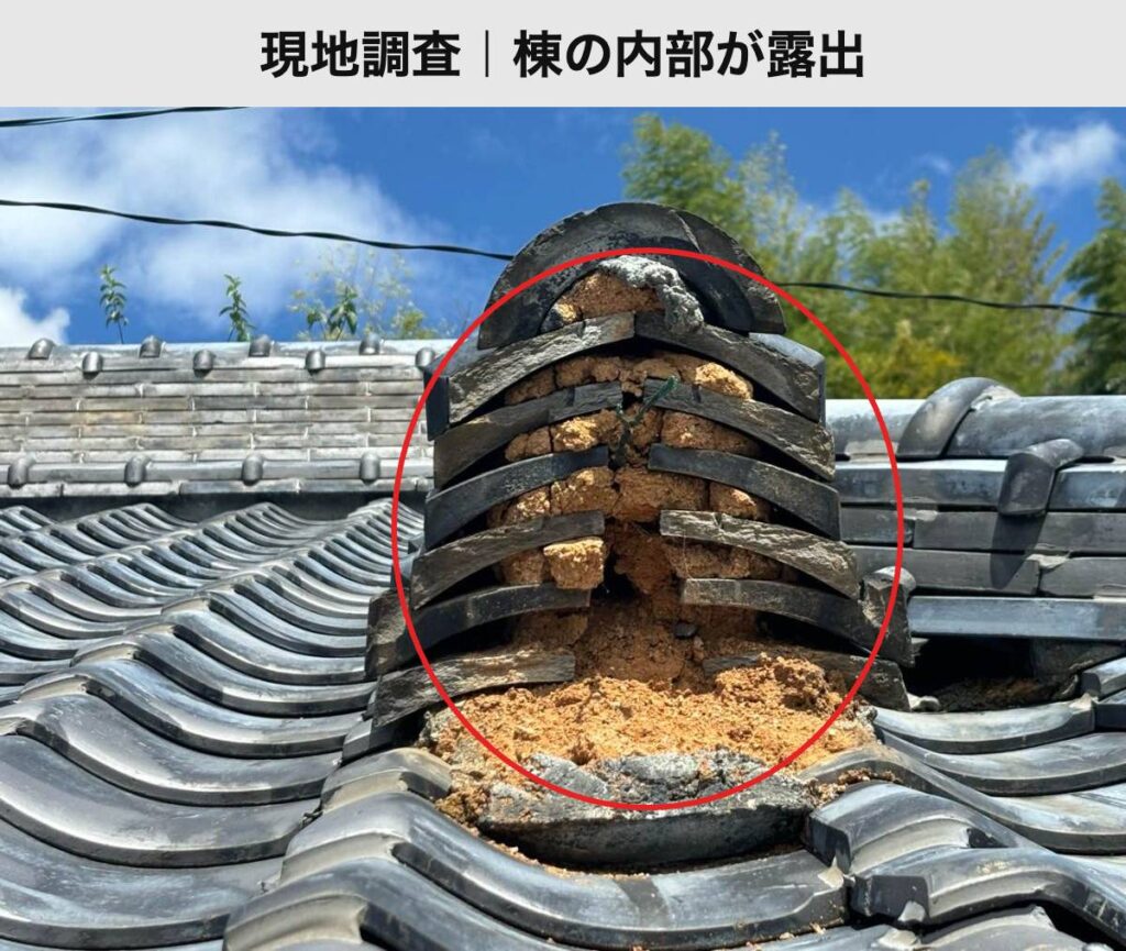 棟の内部が露出している現地調査の写真