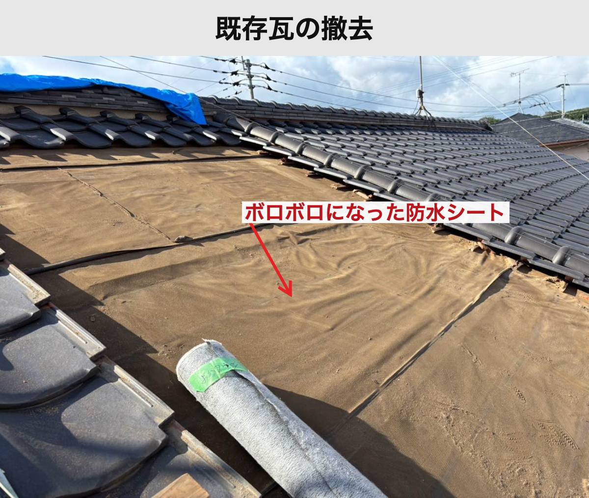 瓦の下にあった古い防水シート
