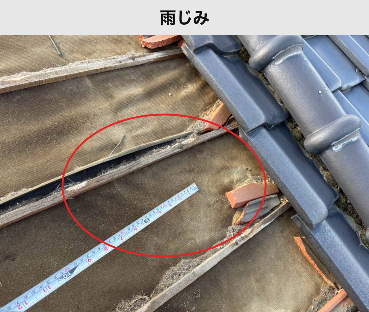 屋根の下側に残っていた雨じみ