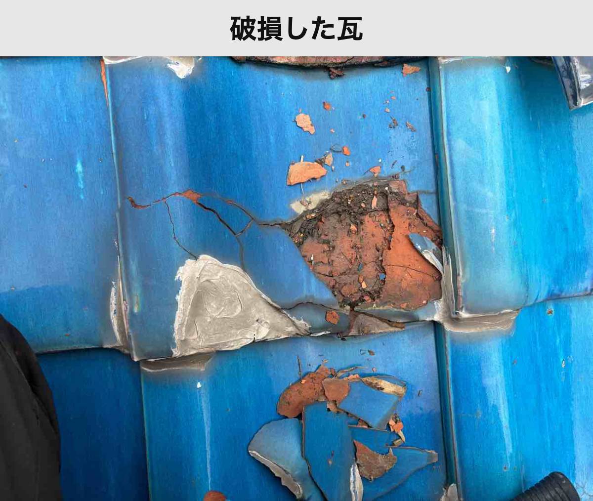 近接写真:瓦が割れて欠けた部分と周囲に残る破片